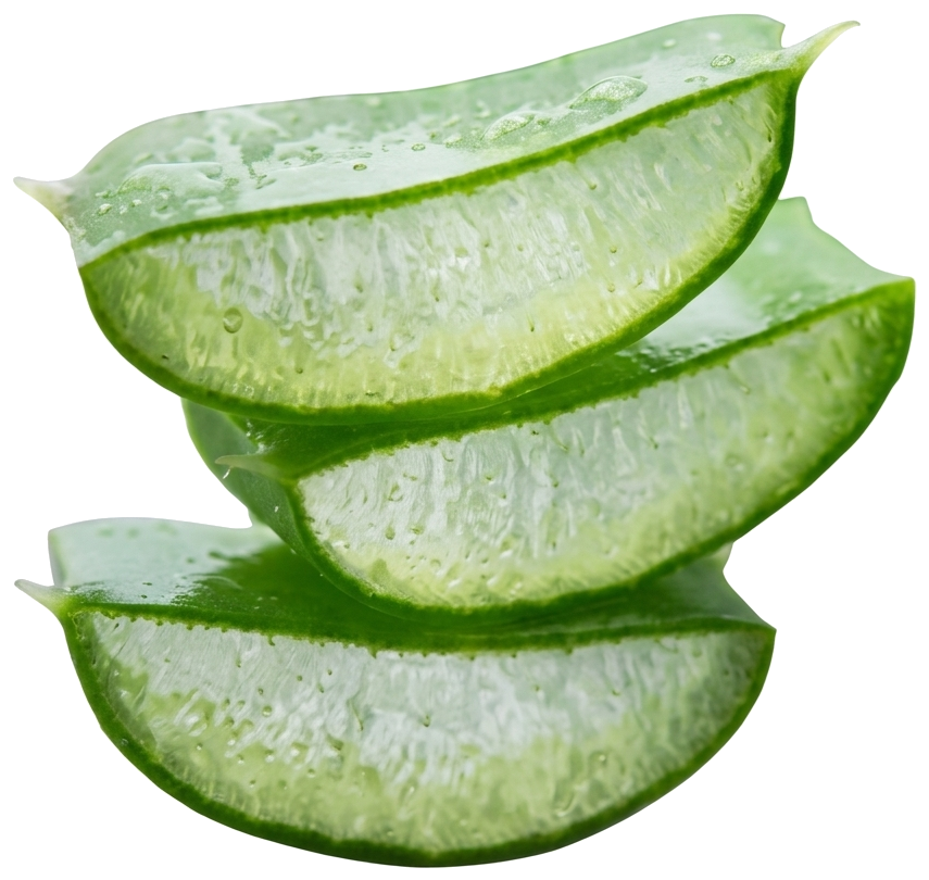 Fresh Aloe Vera Slices