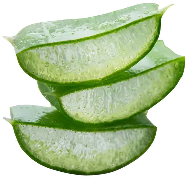 Fresh Aloe Vera Slices